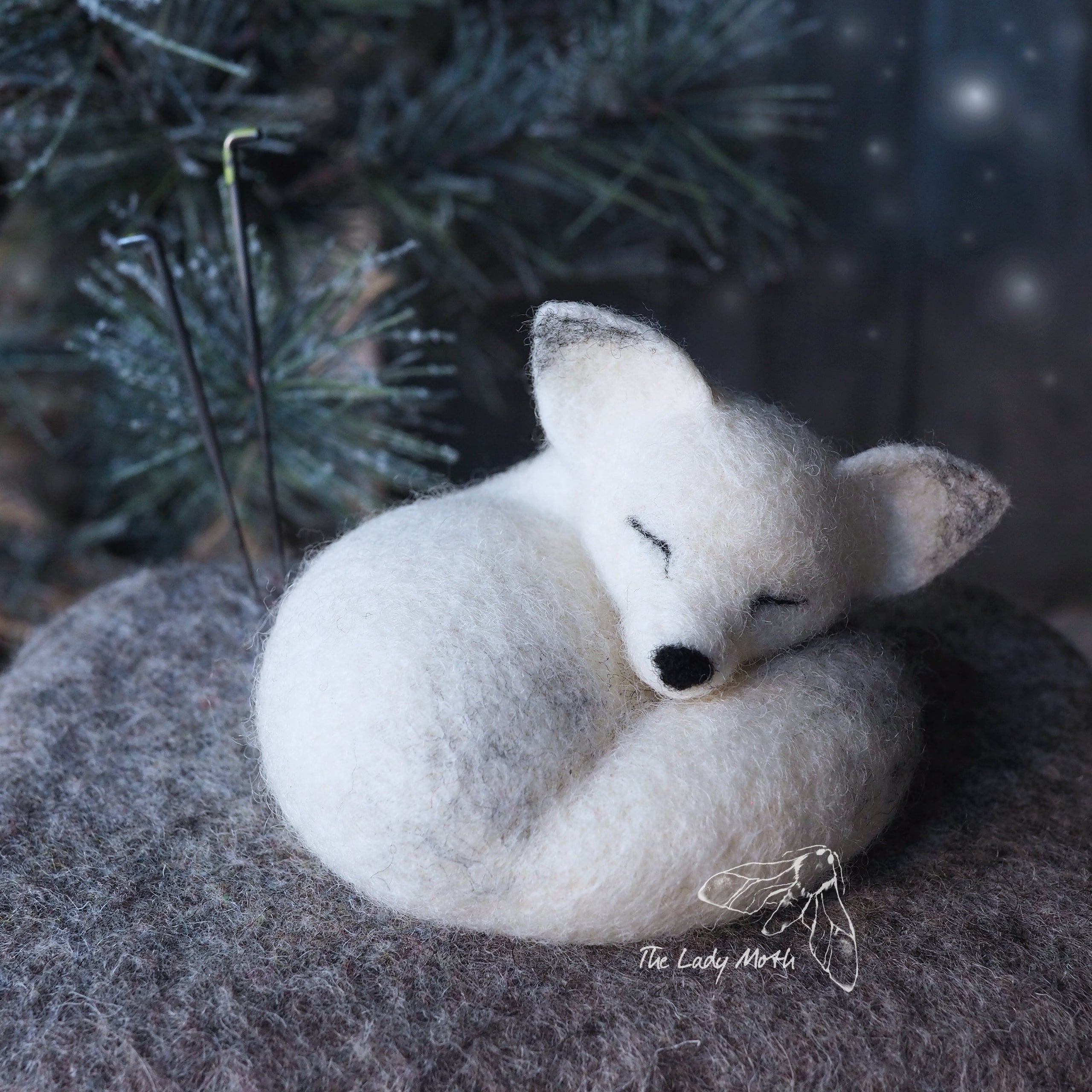 Arctic Fox video instructions accessible until 31 March 2024 & PDF